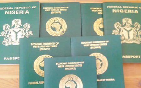 Nigerian missions in US to address passport, visa, Diaspora concerns