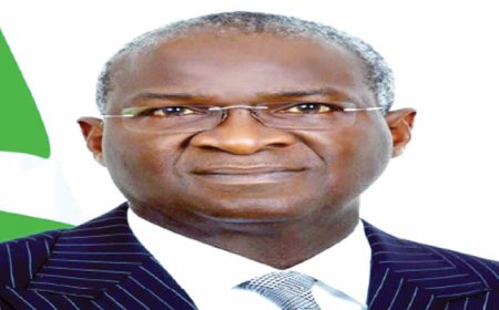 Nigeria needs sports master plan – Fashola