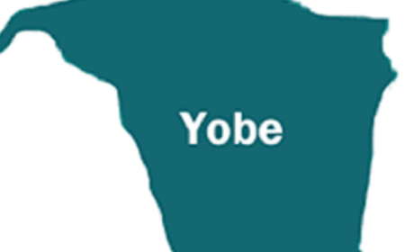 Boosting Agriculture: Yobe Allocates 40 Massey Ferguson Tractors To Farmers Free Of Charge