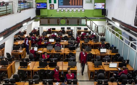 Insurance firms in ‘strange’ rally, post 41 per cent gain in one week