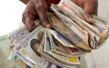 CBN urges Nigerians to protect naira’s dignity, warns against abuse