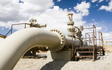 Insurance cover now mandatory for petrol, gas stations