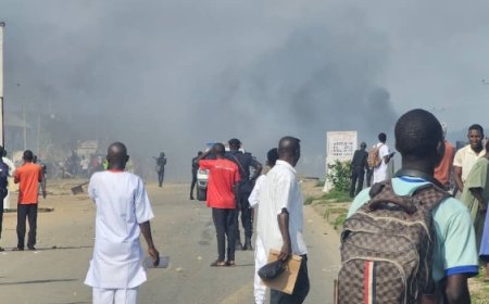 Protest In Bauchi Poly Over Insecurity, School Shut