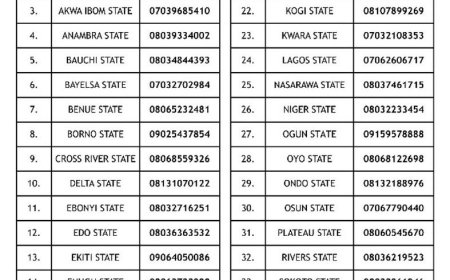 Phone Numbers Of Each Nigerian Police Force State Commands