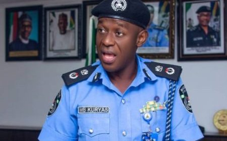 Niger police arrest three salesgirls over N29m theft