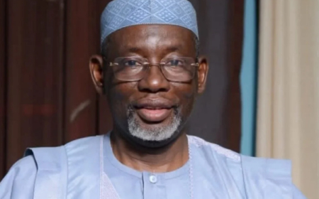 Jigawa state approves N7 billion for rice cultivation programme to support agro-input dealers