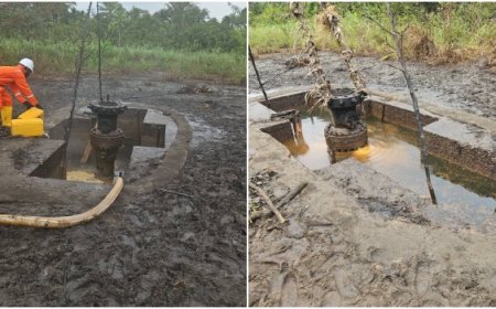 Environmental Activists Demand Decommissioning Of Oil Facilities In Ogoniland
