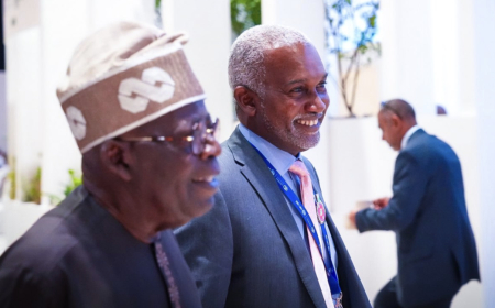 Tuggar: Nigeria aiming to deepen ties with Japan, push for UN security council seat at TICAD