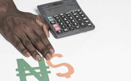 External Reserves Surge Driven By Policy Reforms, Refinery Exports, Investor Confidence –Economist