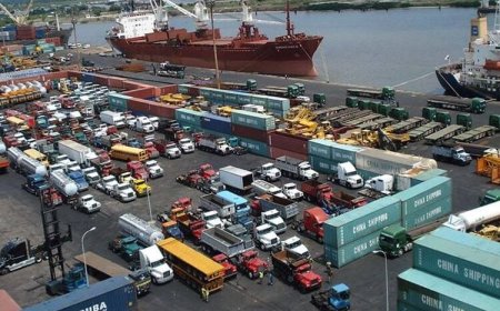 Customs Generates N16.4bn In Single Day At Tin Can Port