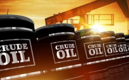 Bonny Light settles near $70 mark as India buys Nigerian crude