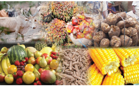FCCPC warns Nigerians against fruits forcefully ripened with calcium carbide