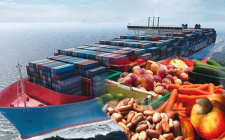 Nigerian manufacturers to shift 4% import levy costs to consumers, warn of higher inflation