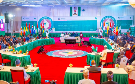 ECOWAS sets up regional force, targets $2.5bn funding for counter-terrorism