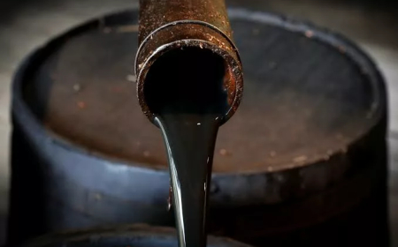 Forcados, Bonny Terminals Boost Oil Output To 1.71 million bpd