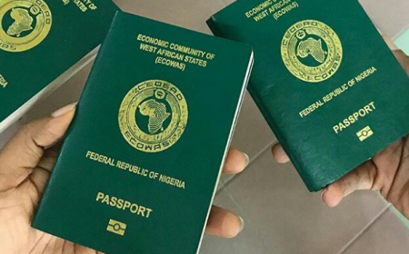 Breaking: Nigeria Immigration Service increases international passport fee to N100,000, effective September 1
