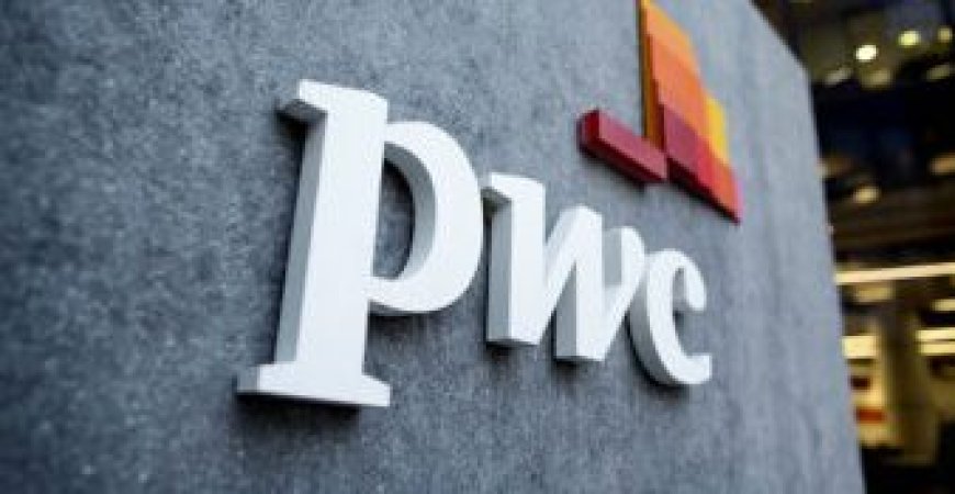 Solar import ban may hinder energy access – PWC