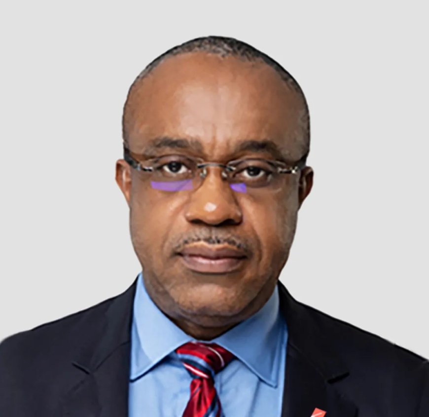 United Capital Appoints Uche Ike As New Chairman