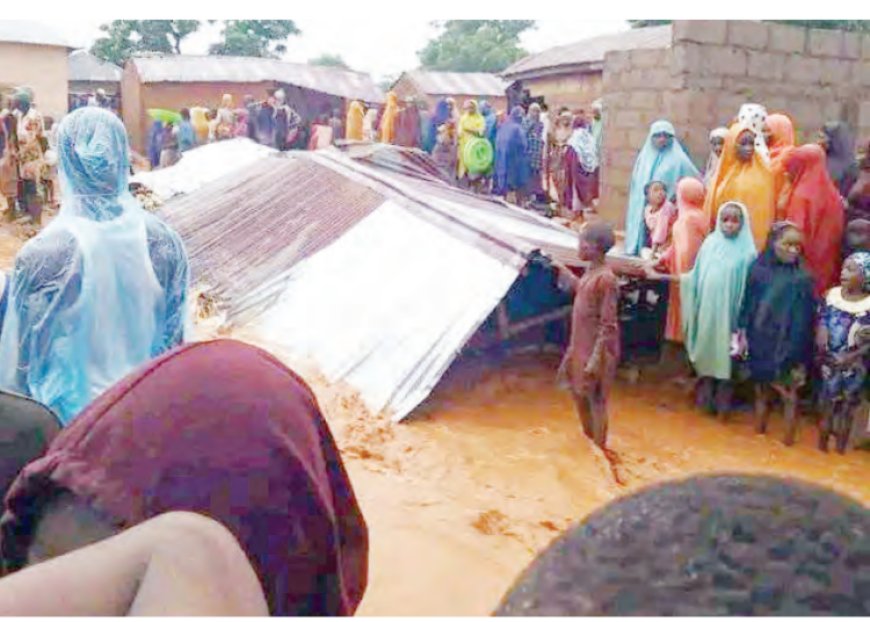 Rainstorm Wreaks Havoc On Plateau Community, Flood Submerges Farmlands In Niger, Kogi