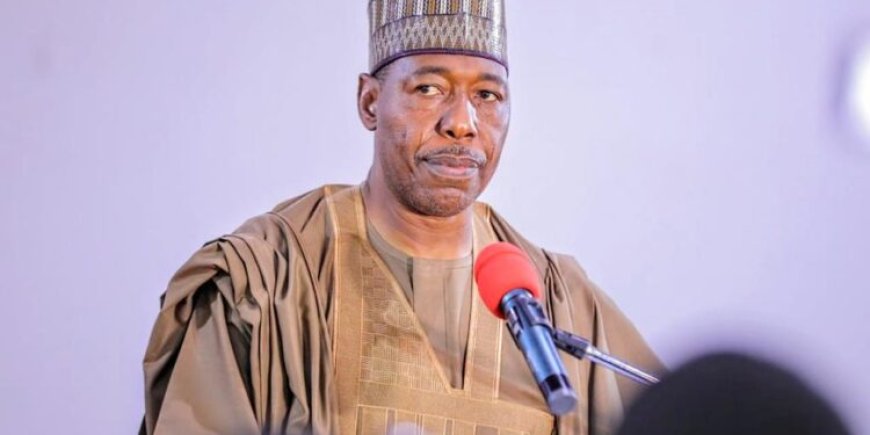 Borno Government to open 400-bed hospital in September, targets medical tourism and job creation