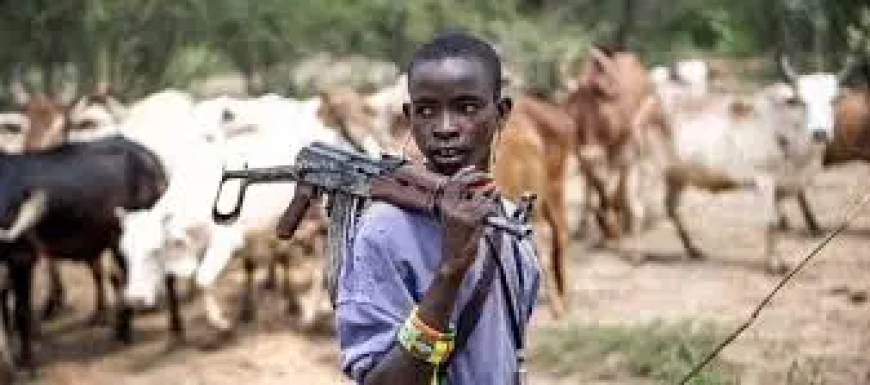 Police officer, 8 others killed in renewed attack on Benue communities by herders