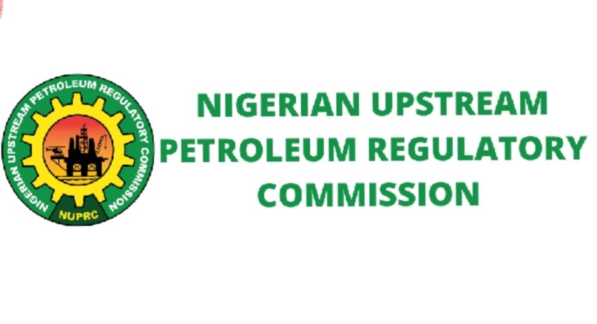 NUPRC to license 220 oil blocks