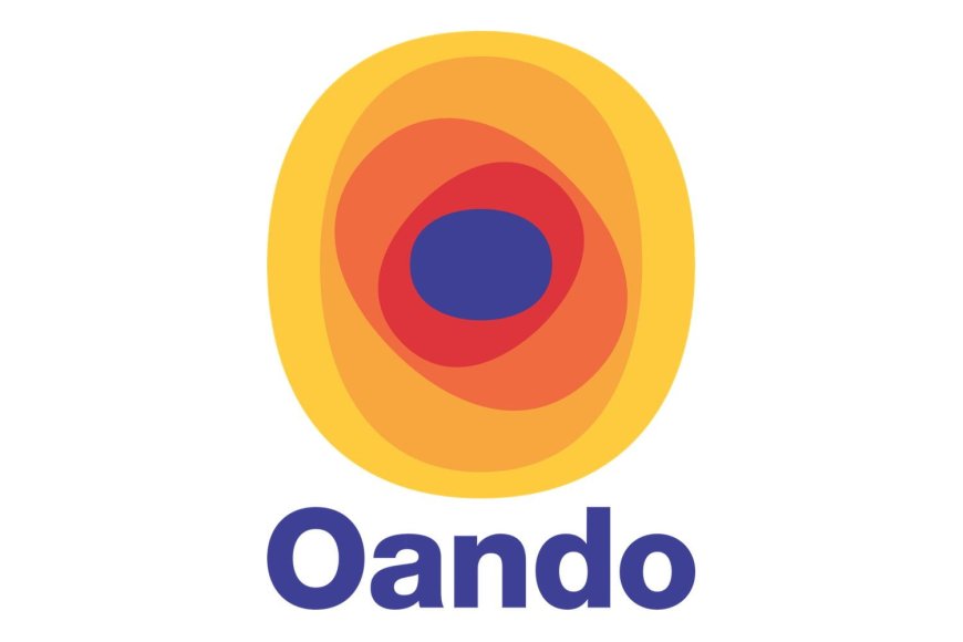 Meet Oando’s new company secretary and Chief Compliance Officer, Folasade Ibidapo-Obe
