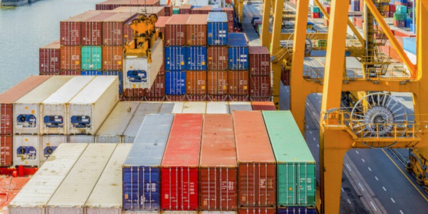 Nigeria records 663 million metric tonnes in exports to ECOWAS in H1 2025 — NEPC