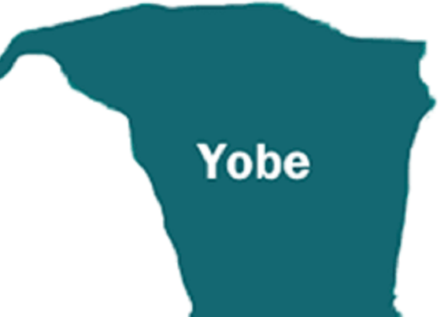 Boosting Agriculture: Yobe Allocates 40 Massey Ferguson Tractors To Farmers Free Of Charge