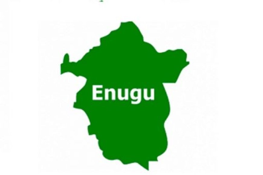 Enugu career fair targets youth employment