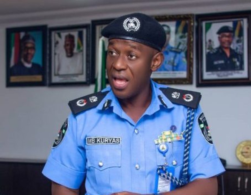 Niger police arrest three salesgirls over N29m theft