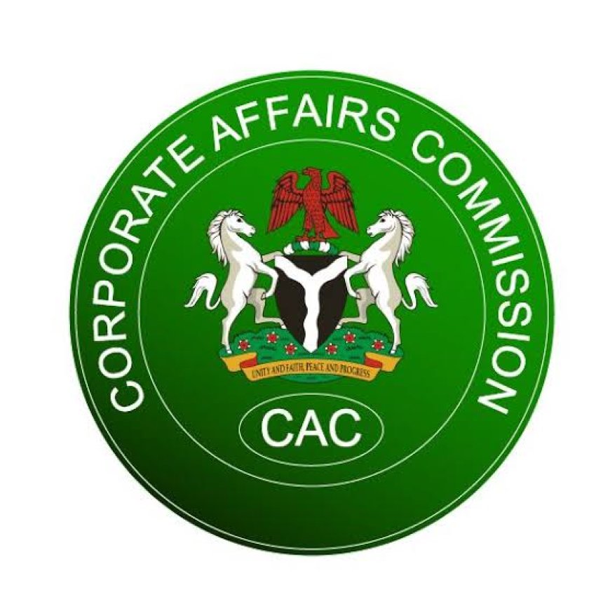 Six Steps To Keep A Business Legally Active – CAC