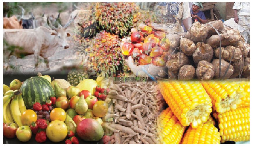 FCCPC warns Nigerians against fruits forcefully ripened with calcium carbide
