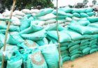 Nigeria imports 560,000 tonnes of fertiliser inputs in 2025