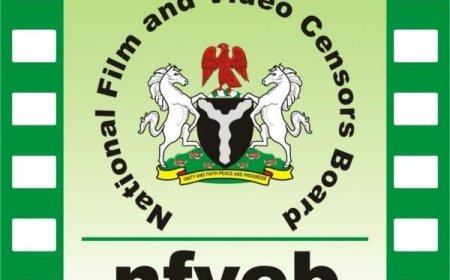 NFVCB Classifies 96 Licensed Films For July 2025