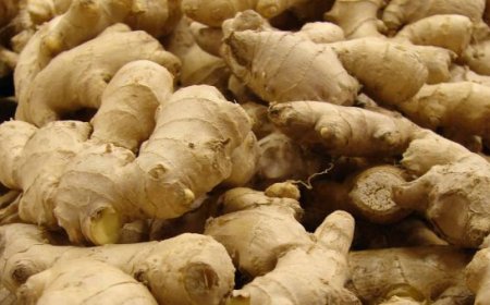Nigeria ginger output drops amid soaring market prices