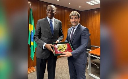 CBN, Brazil’s Central Bank explore remittance, fintech opportunities