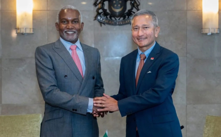 Nigeria, Singapore sign bilateral treaty to deepen economic partnership