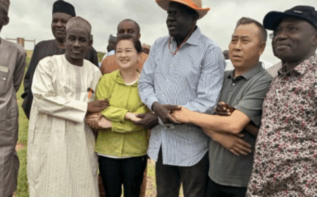 Chinese investors eye $720million agriculture, renewable energy projects in Katsina State