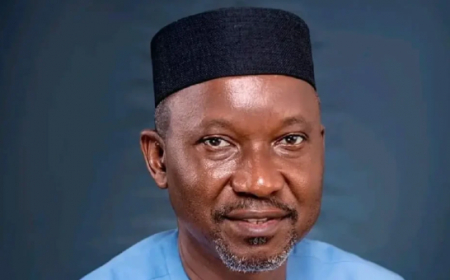 Ekpo: Gas-to-methanol new frontier for prosperity