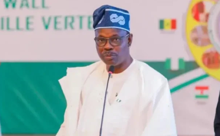 FG targets 44million health insurance enrollees by 2030 to cut out-of-pocket spending