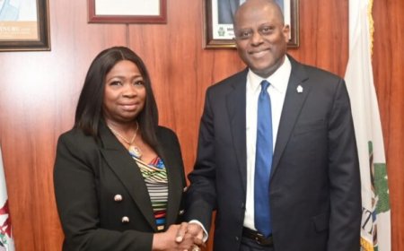 NIDCOM: $600 million monthly diaspora remittances signal success of CBN reforms in Nigeria