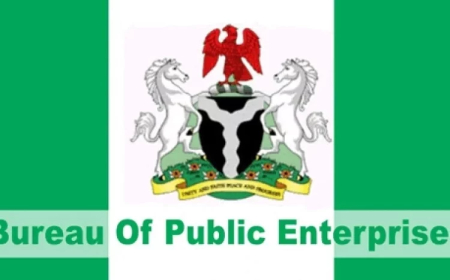BPE Plans Listing 2 DisCos, GenCo On Stock Exchange