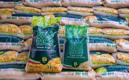 LCFE to begin trading on N23.4b new rice spots contracts