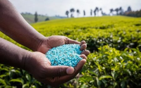 New initiative to boost fertilisers