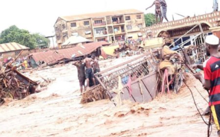 Nigeria, other African countries lose $12.7 billion annually to disaster-related infrastructure damage