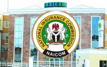 Tech adoption key to efficiency – NAICOM