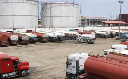 Clarifying the role of market players in Nigeria’s downstream petroleum sector