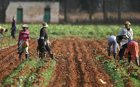 Soil Values Project Trains 50 Extension Agents, Farmers In Bauchi