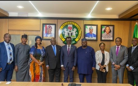 NAICOM, fintech players join forces to increase insurance penetration in Nigeria